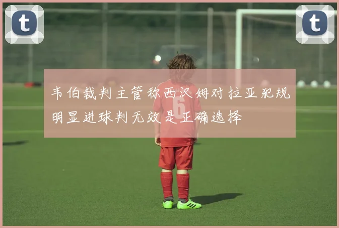 韦伯裁判主管称西汉姆对拉亚犯规明显进球判无效是正确选择