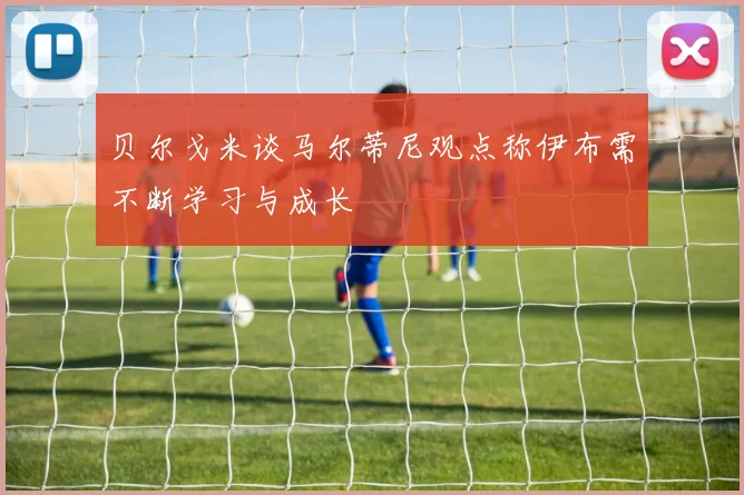 贝尔戈米谈马尔蒂尼观点称伊布需不断学习与成长